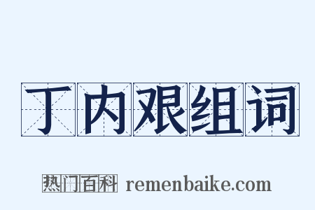 丁内艰组词是什么意思的图片